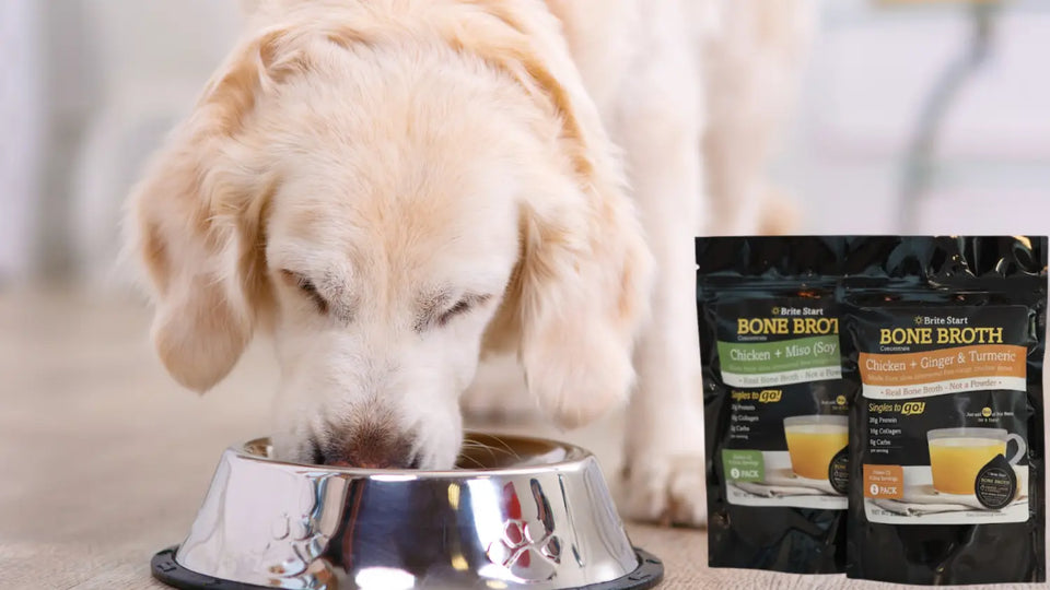 Nourishing Your Furry Companions with Nutrient-Rich Bone Broth